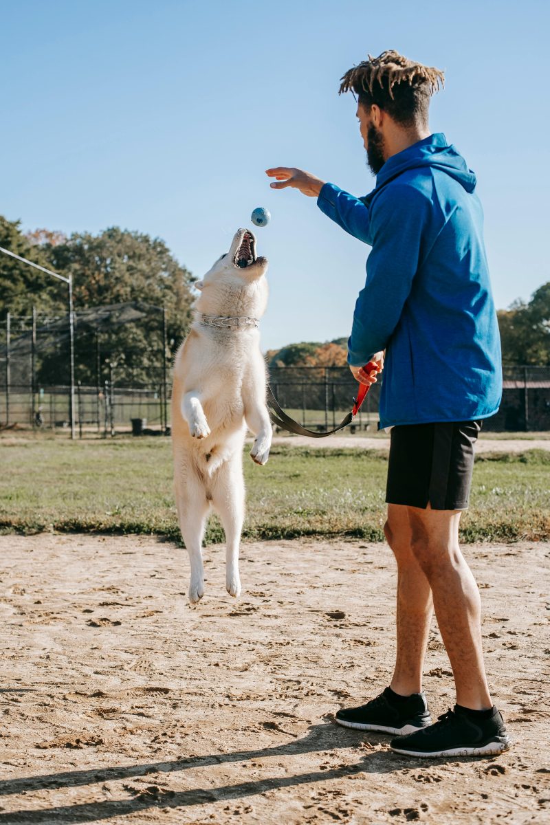 Diverse Exercise Options for Your Canine Companion