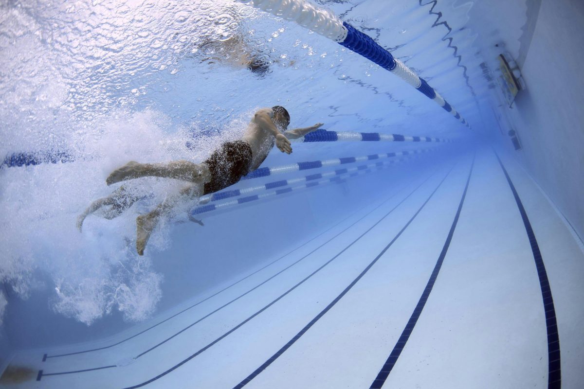 Freestyle Swimming: Speed and Efficiency