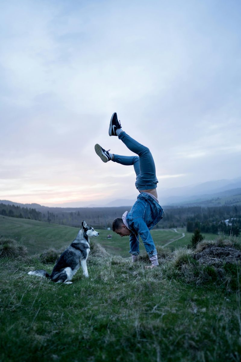 Introduction to Canine Fitness