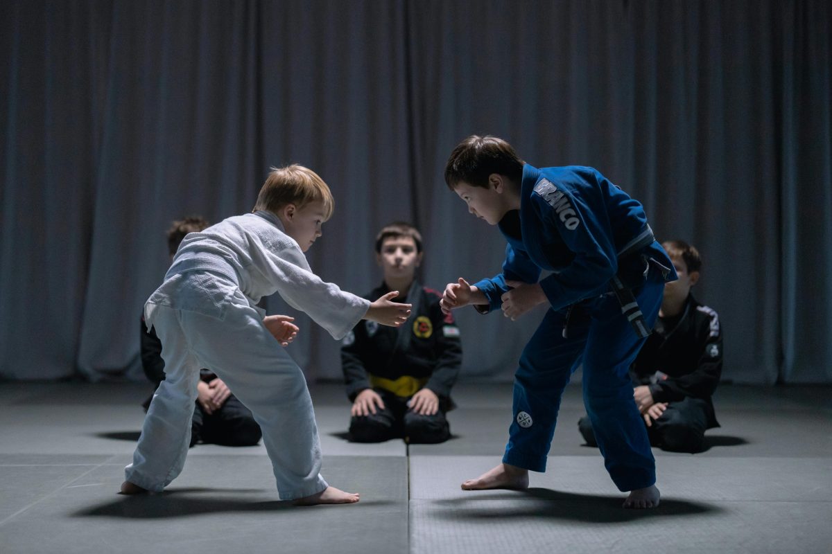 Introduction to Martial Arts as a Dual-Purpose Discipline