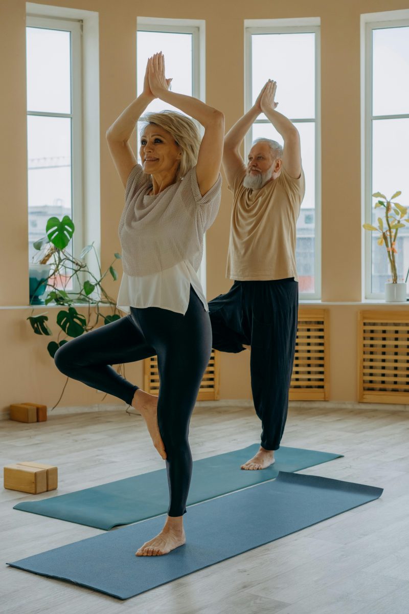 Introduction to Mobility and Flexibility for Seniors