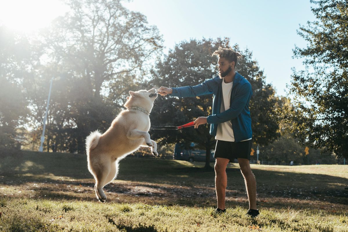 Understanding Your Dog's Exercise Needs