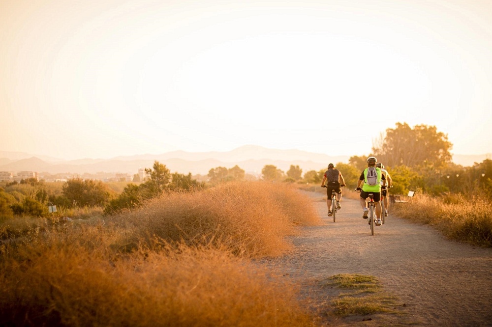 Benefits of Outdoor Workouts Versatility and Creativity in Workout Routines
