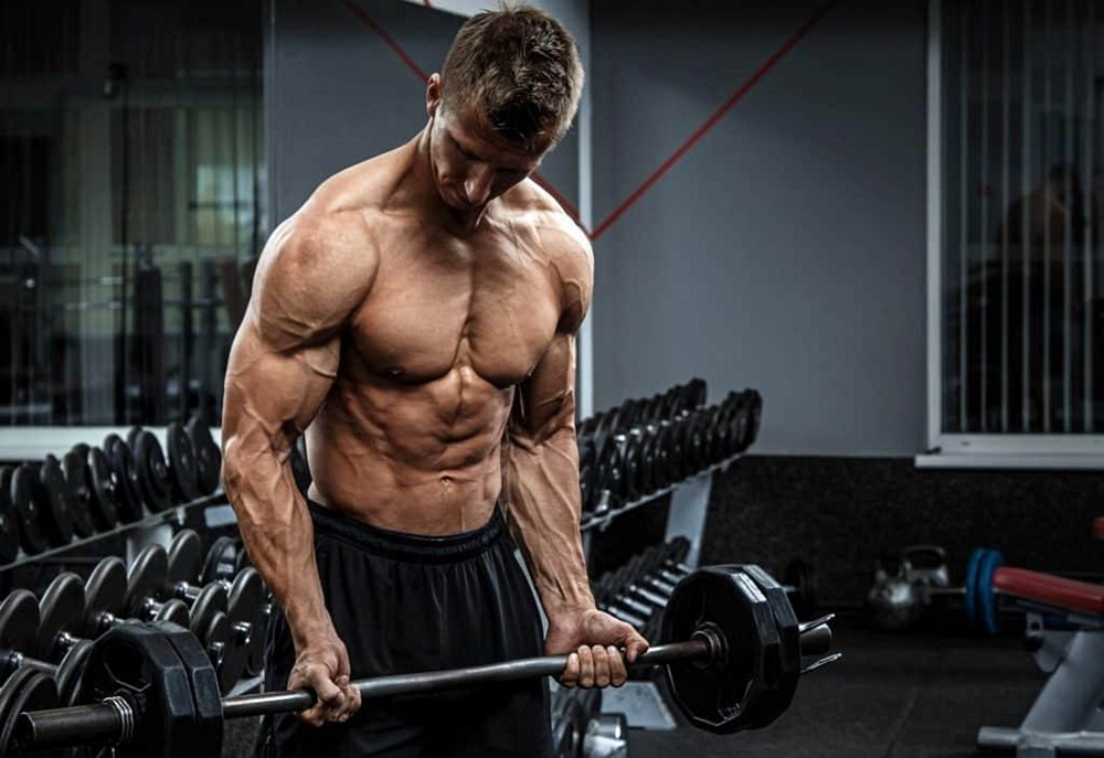 Calisthenics for Beginners Fundamentals and Progressions Progressing in Calisthenics Overcoming Plateaus