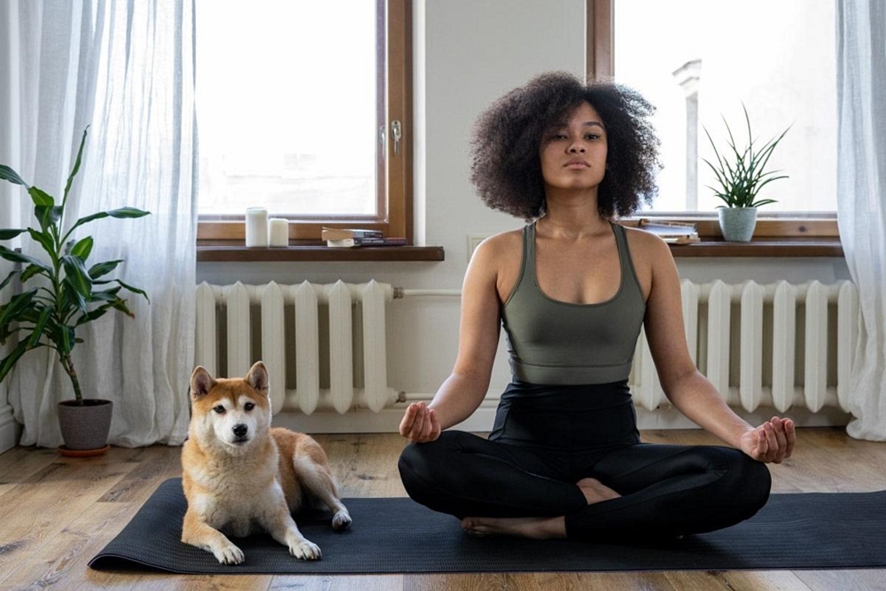Canine Fitness Exercising with Your Dog Creating a Balanced Exercise Routine