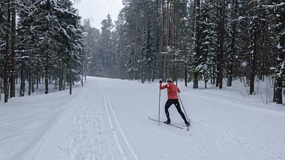 Getting Started with Cross-Country Skiing Mastering the Basics