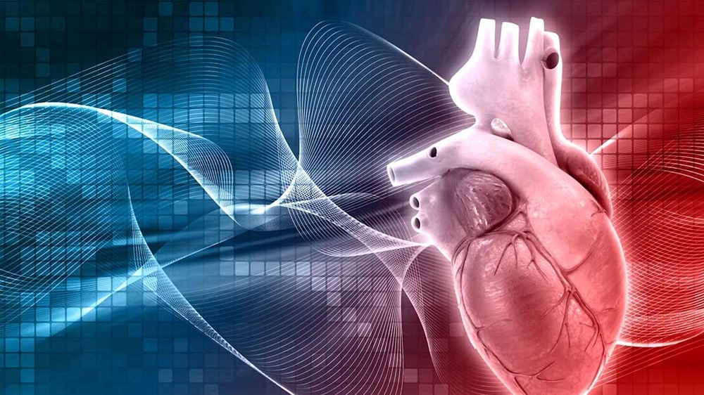 Health Benefits of Regular Cycling Cardiovascular Health Improvements through Cycling