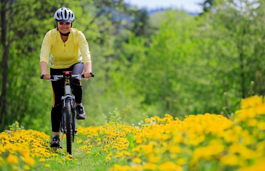 Health Benefits of Regular Cycling Mental Health Benefits and Stress Reduction Through Cycling