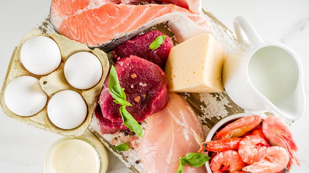High-Protein Diets Myths and Facts Potential Risks and Considerations