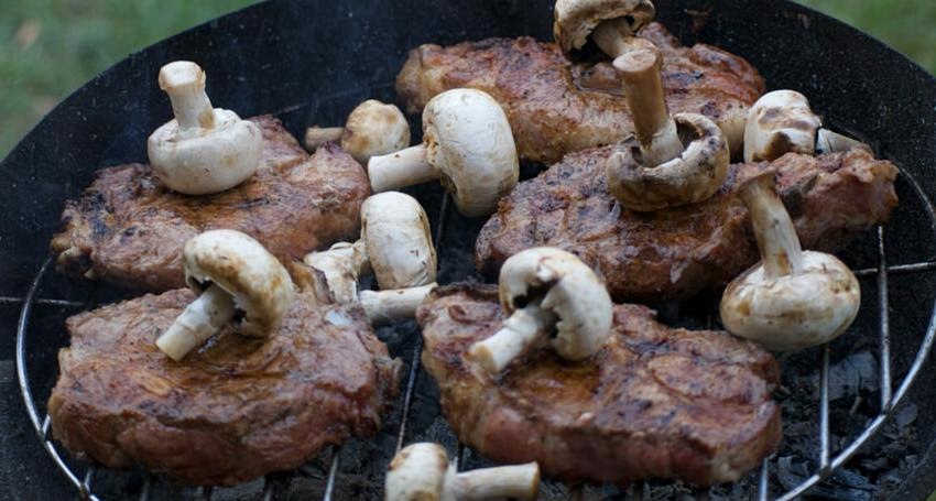 High-Protein Diets Myths and Facts The Real Benefits of High-Protein Diets