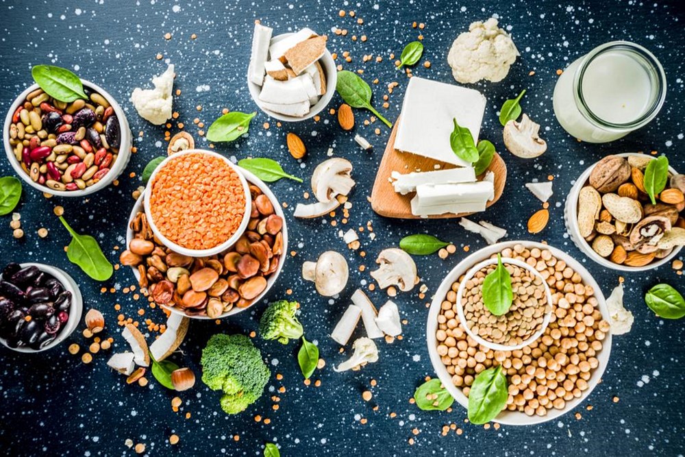 High-Protein Diets Myths and Facts The Science Behind Protein and Its Dietary Importance