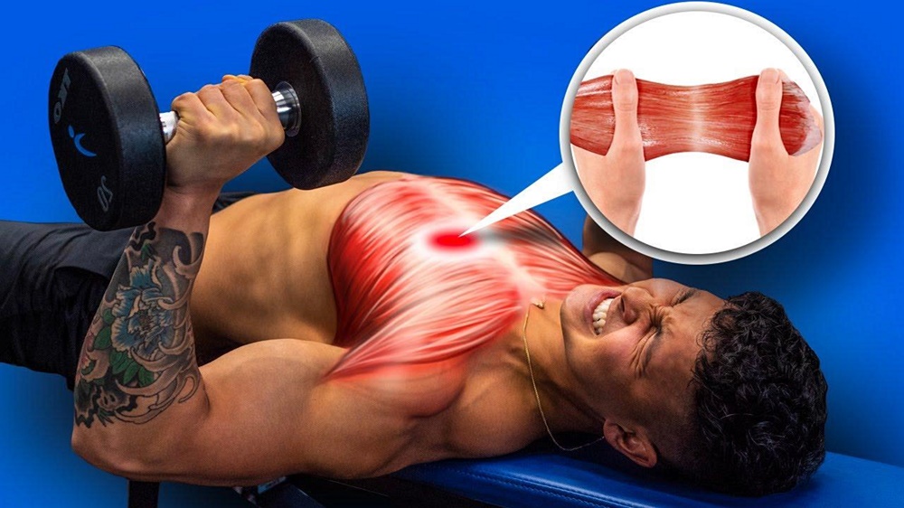 How to Increase Muscular Strength Nutrition and Supplementation for Strength Gains