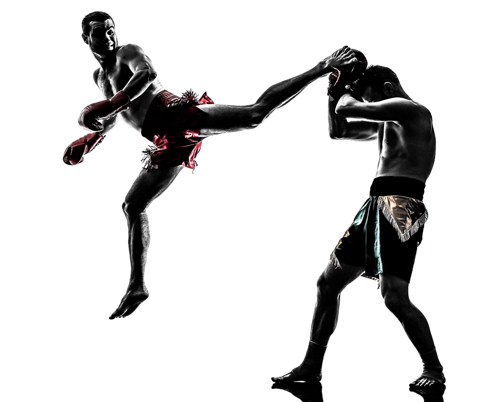 Mixed Martial Arts MMA Training for Fitness Advanced Training Techniques and Progress Tracking