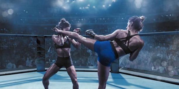 Mixed Martial Arts MMA Training for Fitness Getting Started with MMA Training