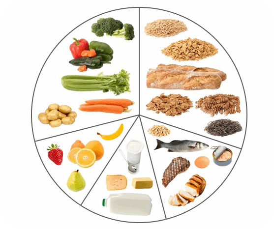 Nutrition and Fitness A Guide for Teenagers The Importance of a Balanced Diet