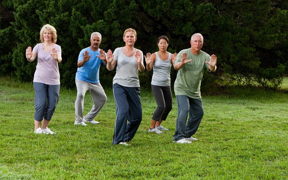 Tai Chi Movement Meditation for Health Integrating Tai Chi into Daily Life