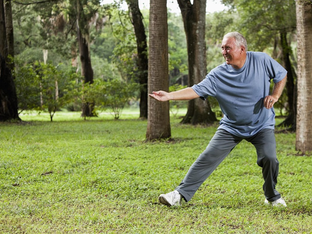 Tai Chi Movement Meditation for Health Tai Chi Techniques and Forms