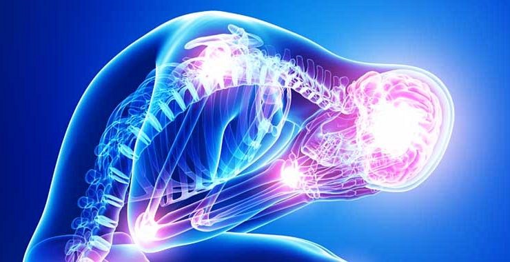 The Impact of Stress on Physical Performance Psychological Aspects of Stress Affecting Performance