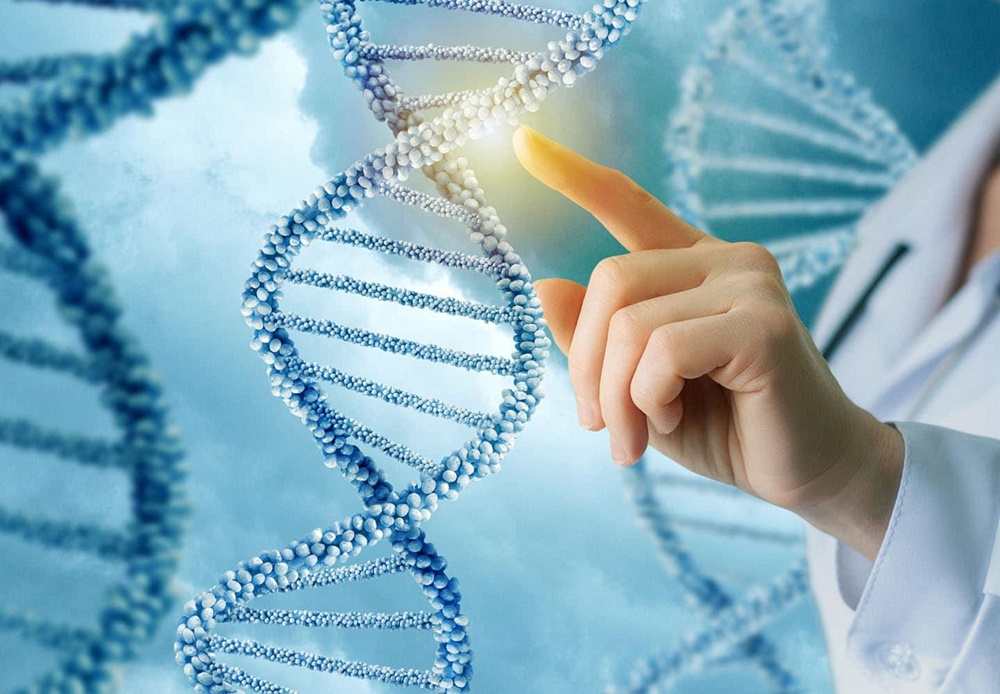 The Role of Genetics in Athletic Performance Conclusion Embracing Genetics in Athletic Performance Enhancement
