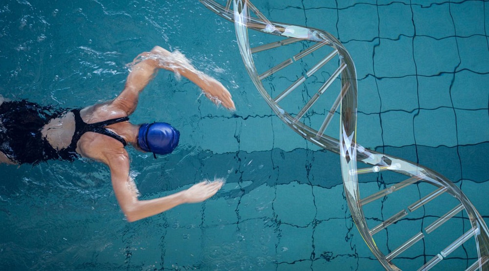 The Role of Genetics in Athletic Performance The Future of Genetics in Sports
