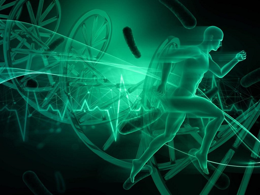 The Role of Genetics in Athletic Performance Understanding the Genetic Markers Linked to Athleticism