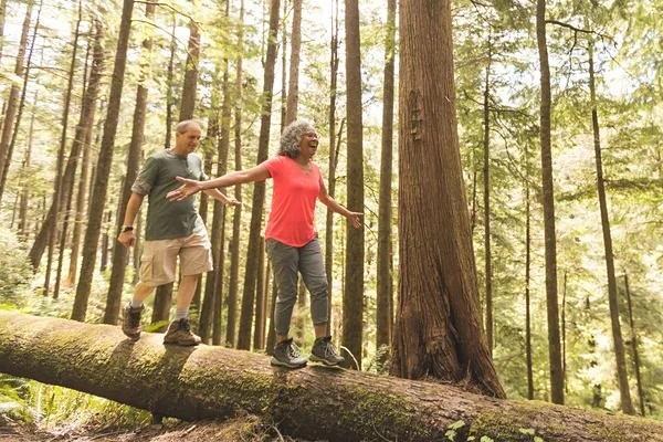 Tips for Balancing Fitness with Work and Family Nutrition Fueling Your Body for Success