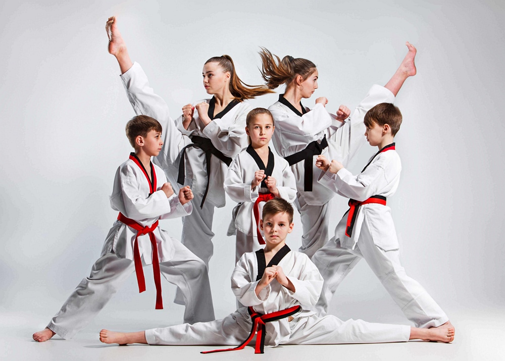 Using Martial Arts for Fitness and Self-Defense The Fitness Benefits of Martial Arts